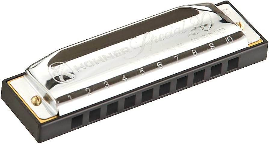 Amazon.com: Hohner 560PBX Special 20 Harmonica Country Tuned, Key