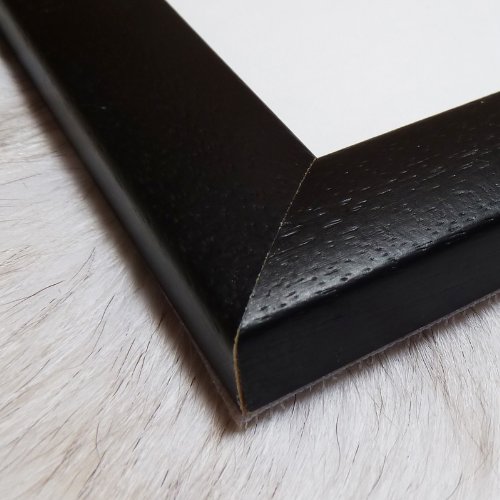 Amazon.co.jp: ポスター ヤツェク スタニシェフスキ ヘルズ