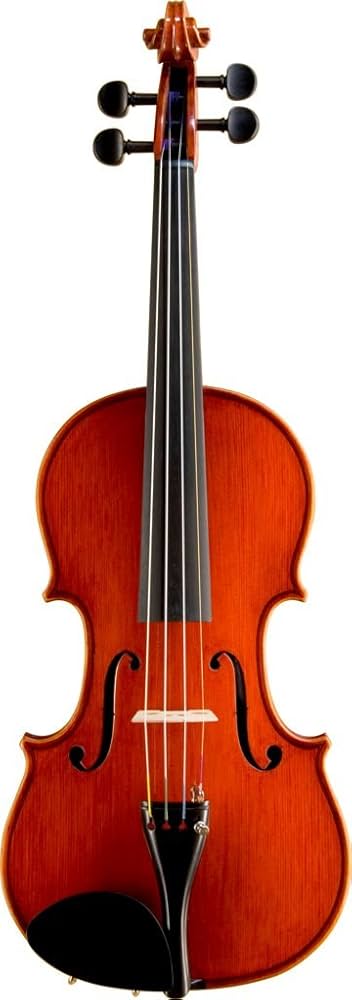 Amazon | 鈴木 バイオリン No.330 4/4 | バイオリン | 楽器・音響機器