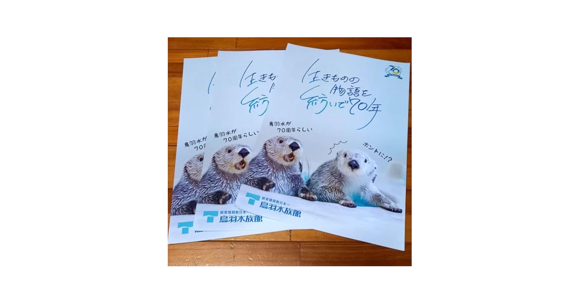 鳥羽水族館⭐️70周年⭐️ポスター⭐️ラッコ 【公式通販】