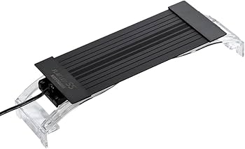 Amazon | 寿工芸 コトブキ 水槽 フラットLED SS2032 ブラック