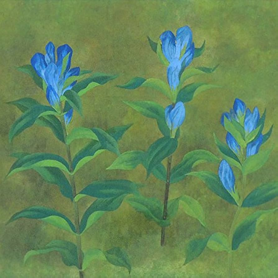 Amazon.co.jp: 小栗潮『龍膽(リンドウ)』日本画 静物画 花鳥画 竜胆 秋