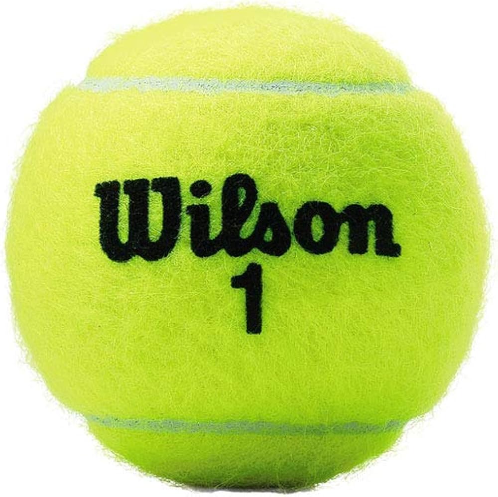 Amazon | Wilson(ウイルソン) 硬式テニスボール US OPEN EXTRA DUTY(US