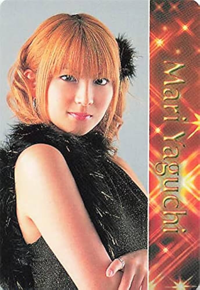 7319 モーニング娘。 矢口真里 生写真 48枚セット 7319 モーニング娘