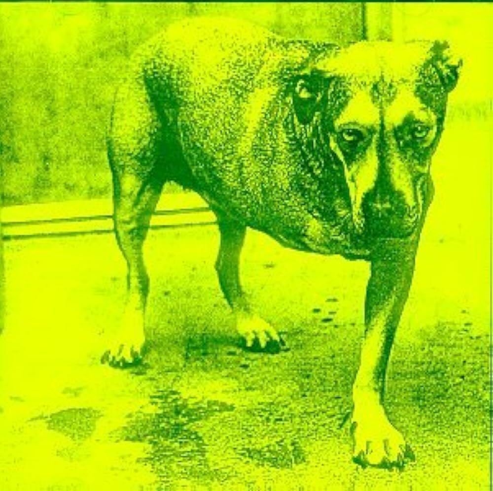 Amazon.co.jp: Alice in Chains: ミュージック