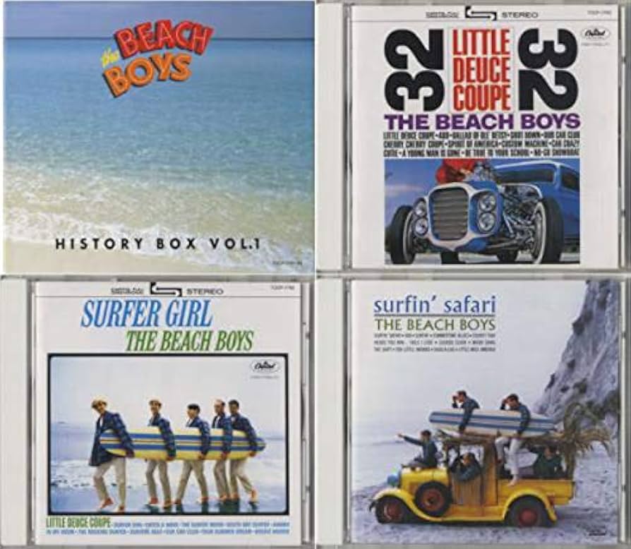最終値引き】BEACH BOYS DVD BOX ビーチボーイズ Amazon.co.jp: ビーチ