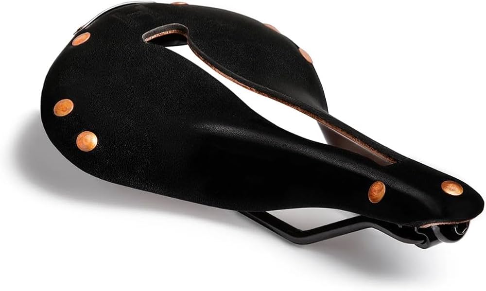 Amazon | SELLE ANATOMICA セラ・アナトミカ サドル H1 自転車 レザー