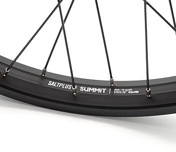 STLN BMX20インチホイール フリーコースターハブ 元箱付き STLN BMX20