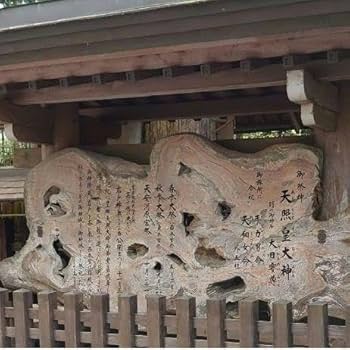 Amazon.co.jp: 限定熊本阿蘇御神体生きた白蛇神様トグロ巻く金運大降臨