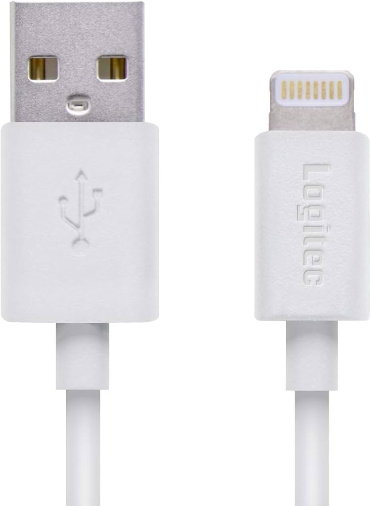 Apple iPod グレー USBケーブル箱付き