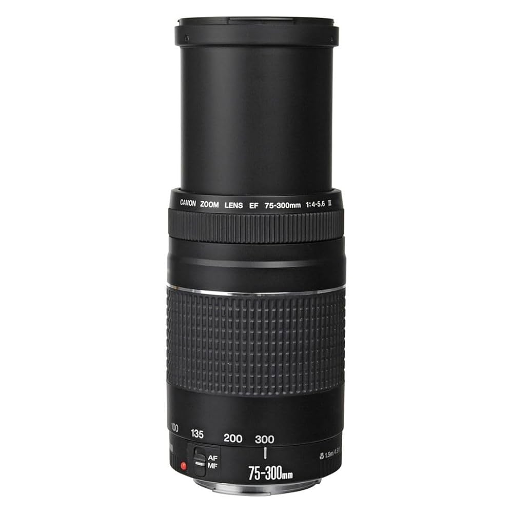 Canon純正 75-300mm 望遠レンズ a3959 Canon純正 75-300mm 望遠レンズ