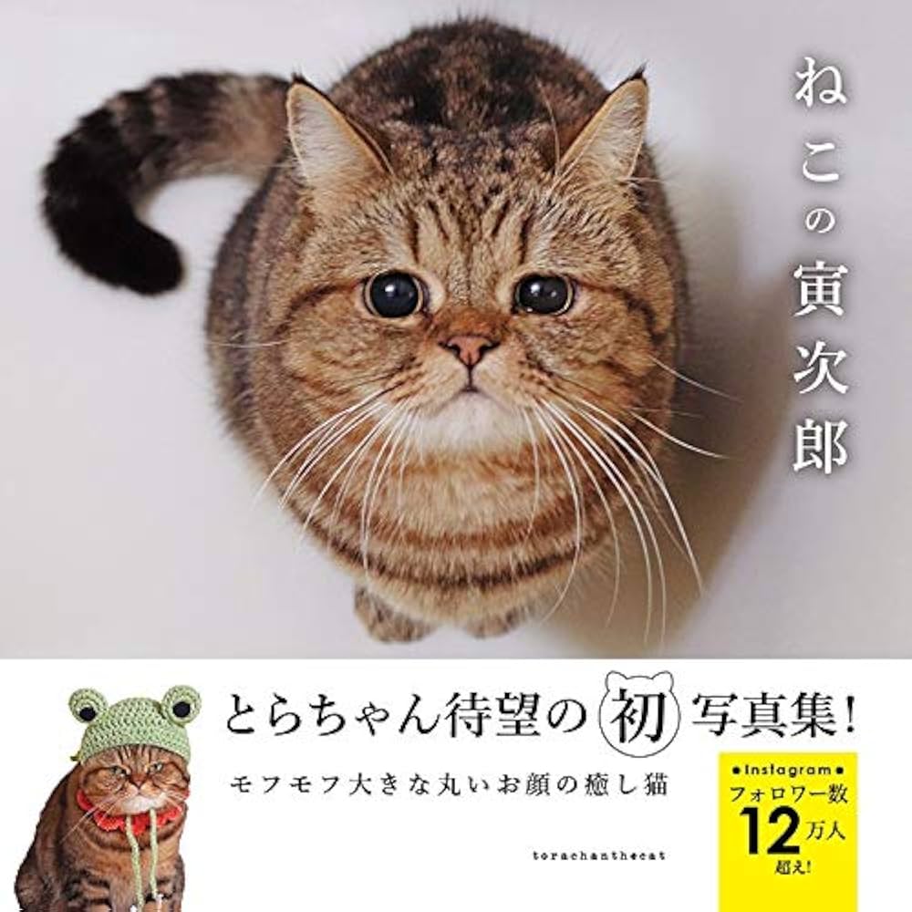 ねこの寅次郎 (写真集) | torachanthecat |本 | 通販 | Amazon