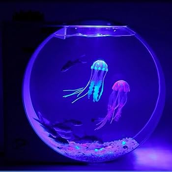 Amazon | COMEDYKINGクラゲ専用水族館、クラゲ水槽、卓上生態水槽