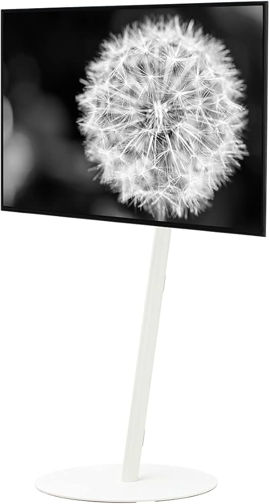 Amazon | EQUALS イコールズ テレビ台 自立型 テレビスタンド anataIRO