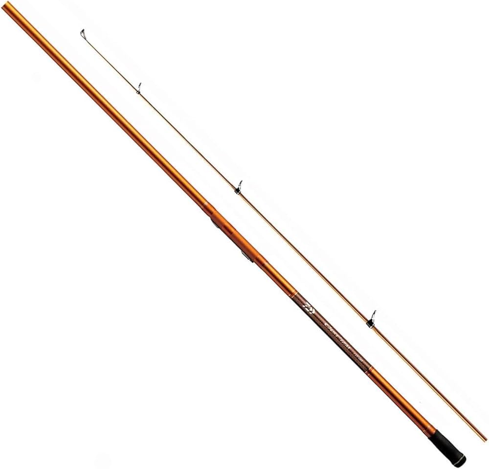 Amazon | ダイワ(DAIWA) 振出投げ竿 キャスティズムT・V 20-365・V