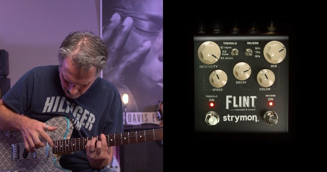 Amazon.com: Strymon Flint V2 Tremolo and Reverb Guitar Effects