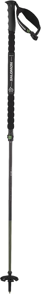Amazon | サロモン(SALOMON) スキー ストック・ポール MTN CARBON S3