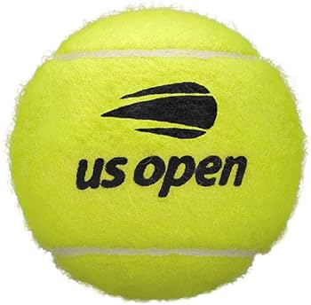 Amazon | Wilson(ウイルソン) 硬式テニスボール US OPEN EXTRA DUTY(US