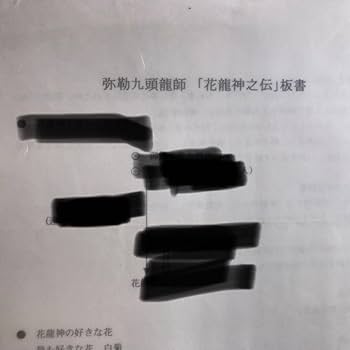 Amazon.co.jp: ワールドメイト九頭龍師テキスト（花龍神の神法付