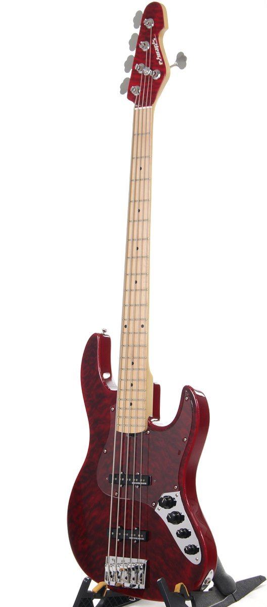 Amazon.co.jp: Edwards/E-AM-160QM Black Cherry Edwards 5 String