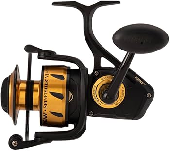 Amazon | ペンスピンフィッシャーVI 5500 | Penn | スピニングリール