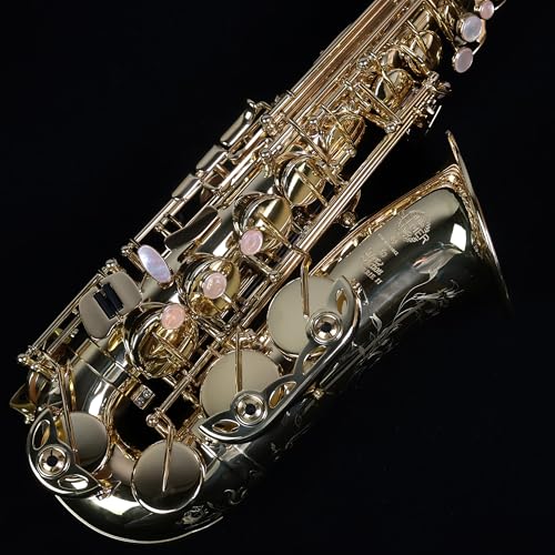 サックス セルマー sa80」の人気商品一覧 | 安い商品を通販サイトから