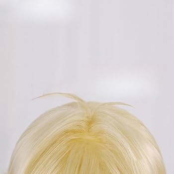 Amazon.co.jp: 埴之塚光邦 ハニー先輩 ウィッグ かつら コスプレ