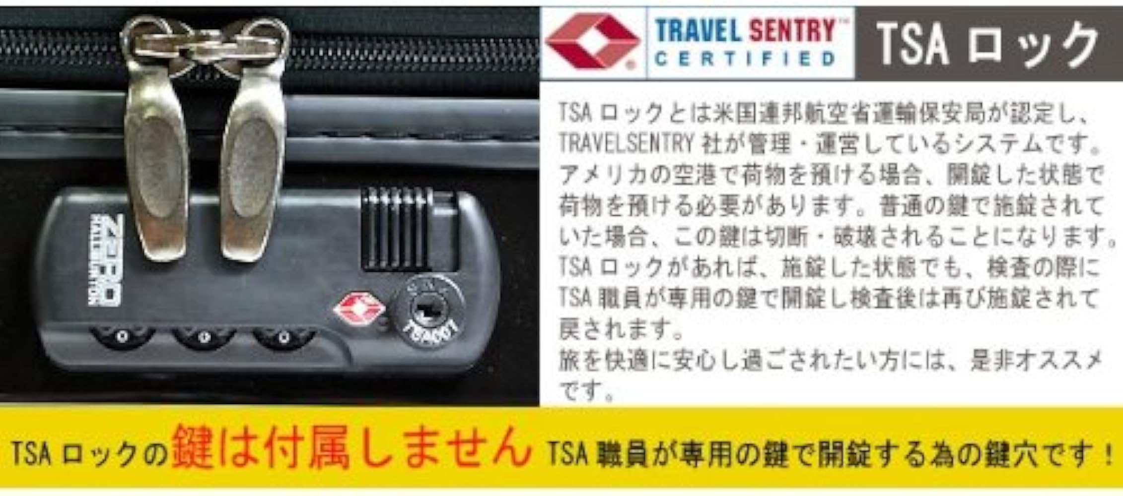 Amazon | [ゼロハリバートン]ZERO HALLIBURTON ZRA21-SI スーツケース