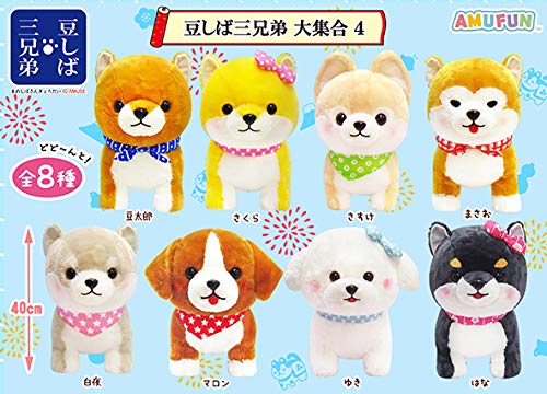 Amazon.co.jp: 【アミューズ】 豆しば三兄弟 大集合4 BIG / 全8種