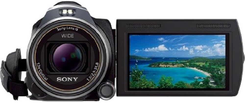 Amazon | SONY ビデオカメラ HANDYCAM CX630V 光学12倍 内蔵メモリ64GB