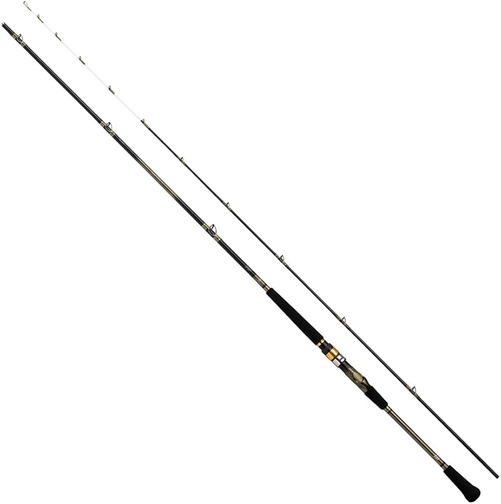 Amazon | ダイワ(DAIWA) アナリスター73 30-180・Q | ダイワ(DAIWA) | 船竿