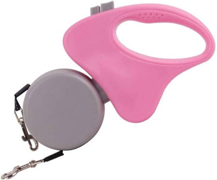 木田真也 DVD2枚組 - WWW.GUESTAPOST.COM