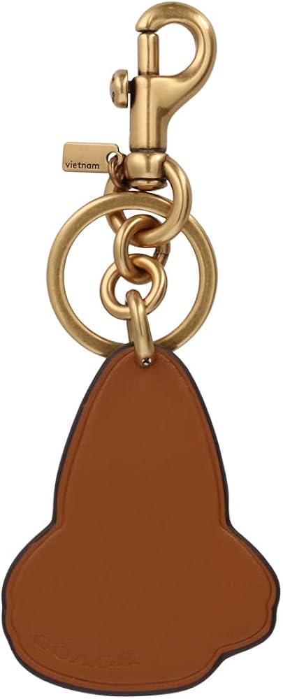 Amazon.co.jp: [コーチ] キーホルダー レインボー シャーク チャーム