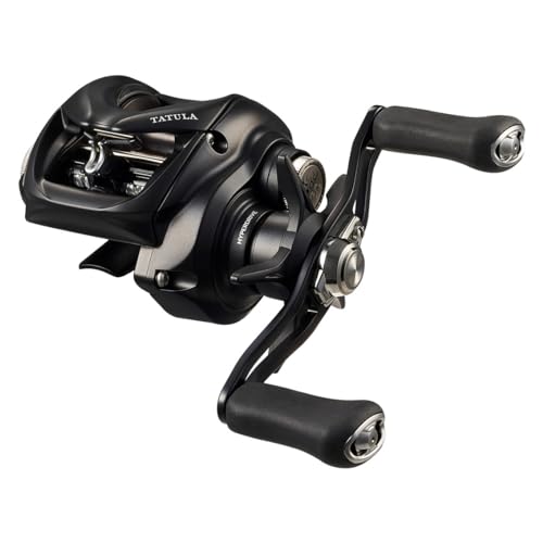 ダイワ タトゥーラ TW 100HL (リール) 価格比較 - 価格.com