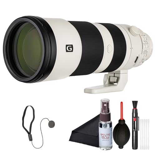 カメラ FE 200-600mm F5.6-6.3 G OSS」の人気商品一覧 | 安い商品を