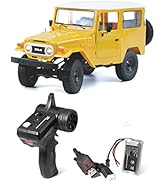 Amazon | Raywood WPL JAPAN C24-1 WPL 正規品 技適マーク付き 1/16