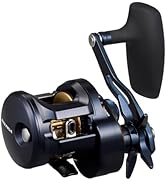 Amazon | ダイワ(DAIWA) ティップランロッド エメラルダス EX BOAT