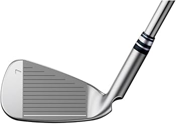Amazon.co.jp: ピン G425 アイアンセット 6本組(5I-PW) N.S.PRO MODUS