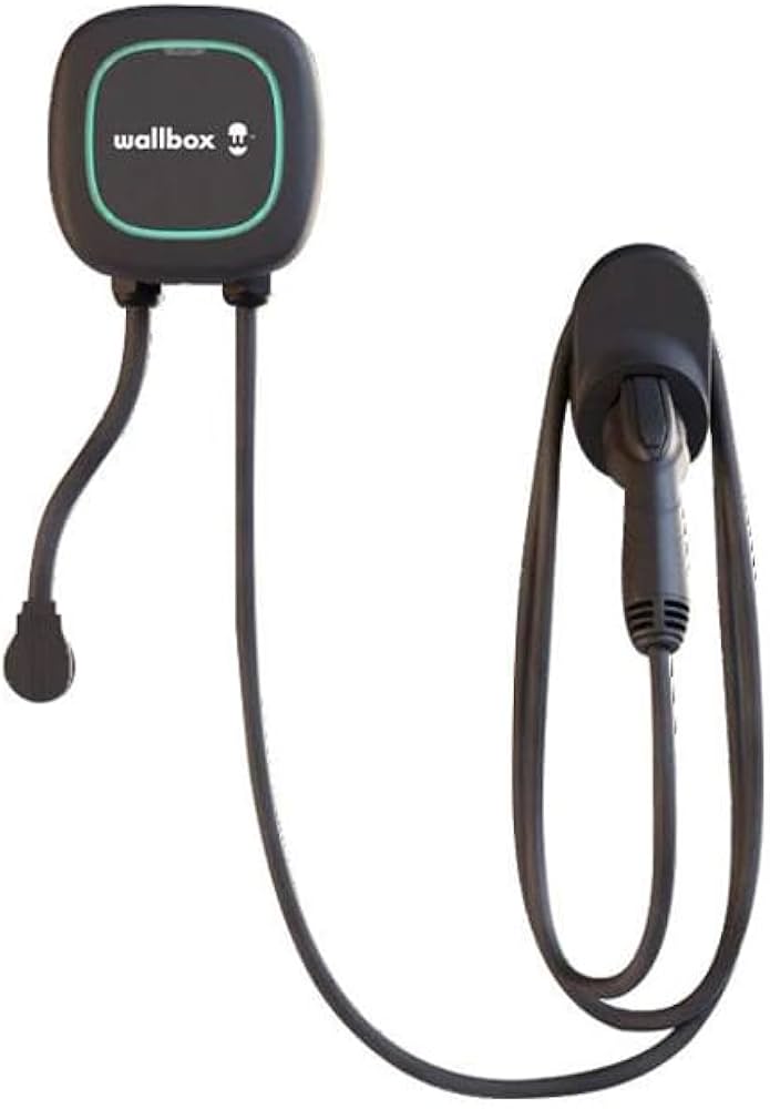 Amazon.co.jp: 【国内正規販売代理店・日本正規品・保証付】電気自動車
