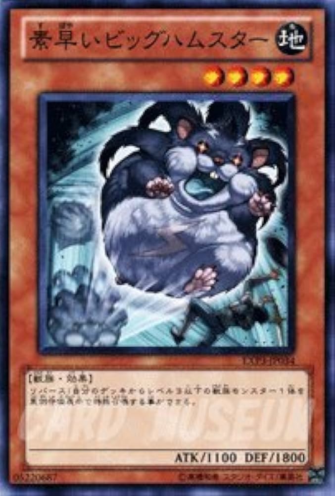 Amazon | 遊戯王カード 素早いビッグハムスター エクストラ パック Vol