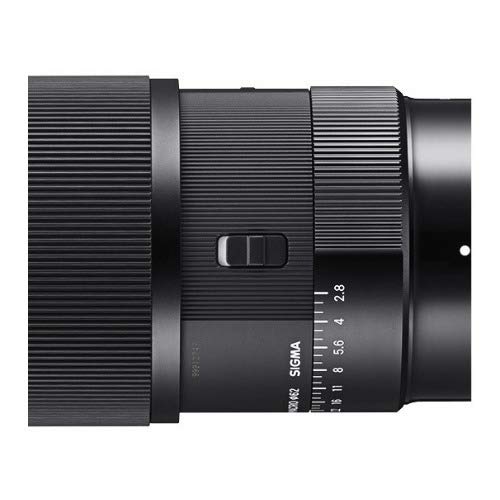 Amazon.com : Sigma 105mm F2.8 DG DN Macro Art (L-mount) : Electronics