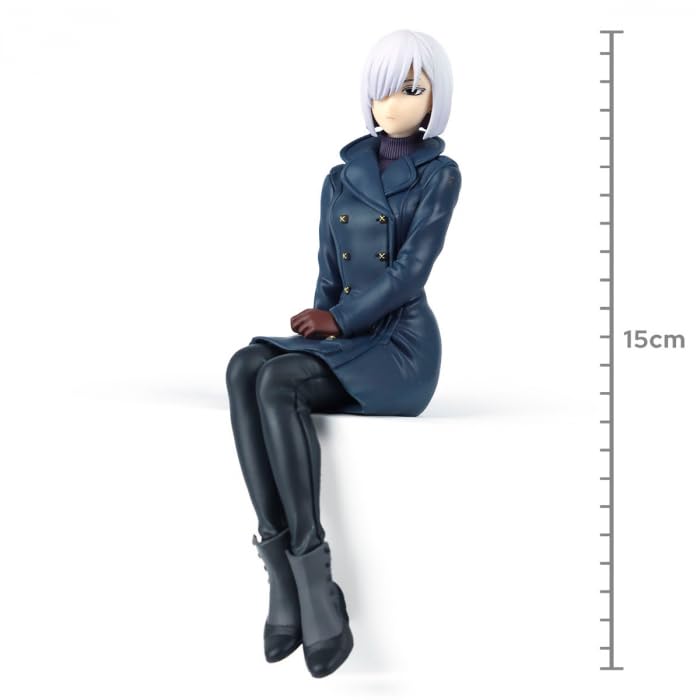 Amazon.com: SEGA GOODS TV Anime SPY x Family PM Perching Figure