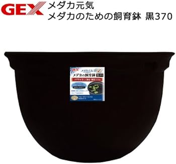 Amazon | ジェックス GEX メダカ元気 メダカのための飼育 鉢 黒 370 約
