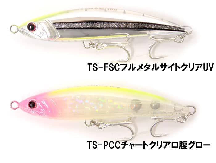 Amazon.co.jp: パームス グランバイツ ラッシュダイブ 160 谷山