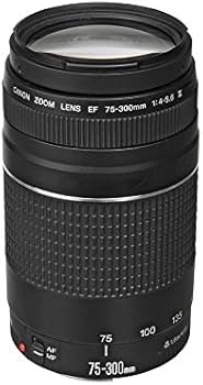 Amazon.com : Canon EF 75-300mm f/4-5.6 III Telephoto Zoom Lens