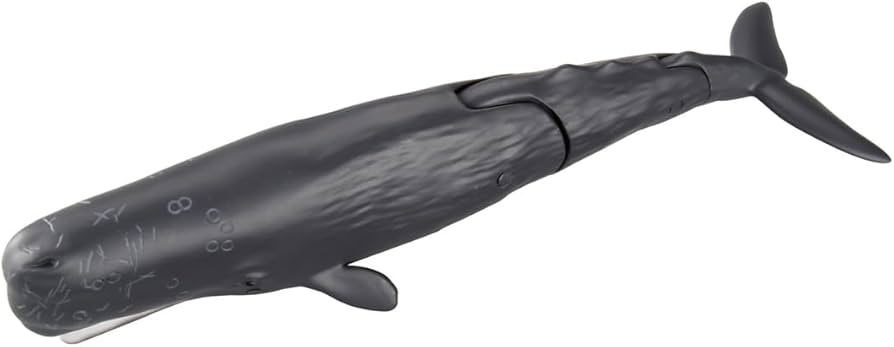 Amazon.co.jp: タカラトミー(TAKARA TOMY) アニア AL-34 マッコウ