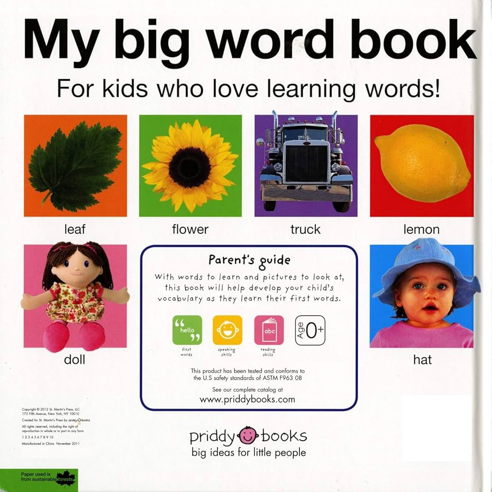 Amazon.com: My Big Word Book (casebound): 9780312513733: Priddy