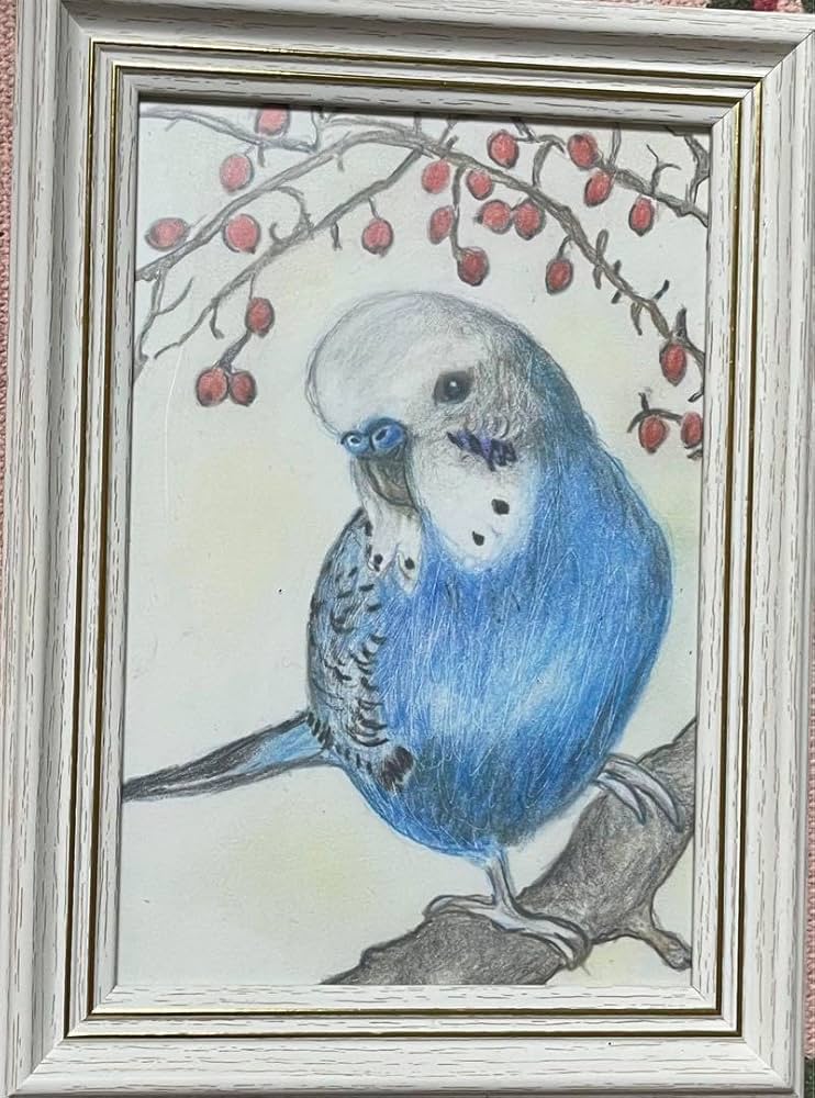 Amazon.co.jp: 色鉛筆画 リアル可愛いセキセイインコ色鉛筆画 原画