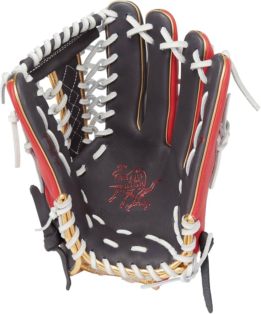 Amazon | ローリングス(Rawlings) 野球用 大人用 ※左投げ用(右手着用