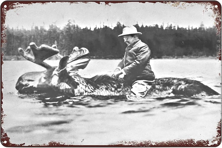 Amazon.com: Vintage Metal Signs Teddy Theodore Roosevelt Riding A